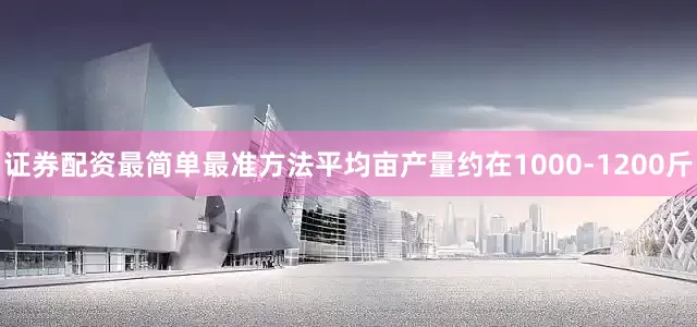 证券配资最简单最准方法平均亩产量约在1000-1200斤
