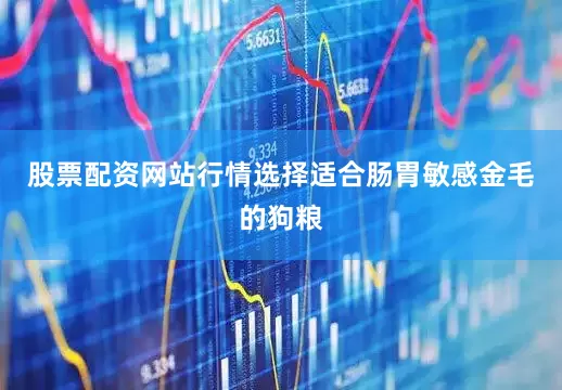 股票配资网站行情选择适合肠胃敏感金毛的狗粮