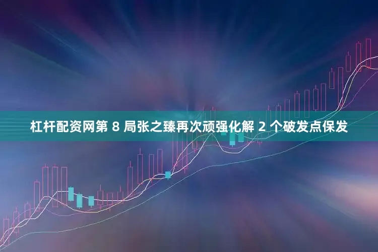 杠杆配资网第 8 局张之臻再次顽强化解 2 个破发点保发