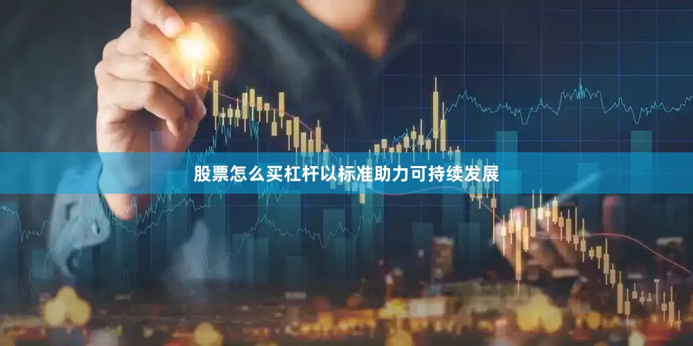 股票怎么买杠杆以标准助力可持续发展